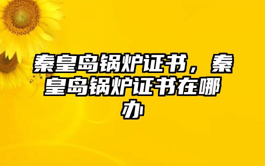 秦皇島鍋爐證書，秦皇島鍋爐證書在哪辦