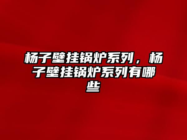 楊子壁掛鍋爐系列，楊子壁掛鍋爐系列有哪些