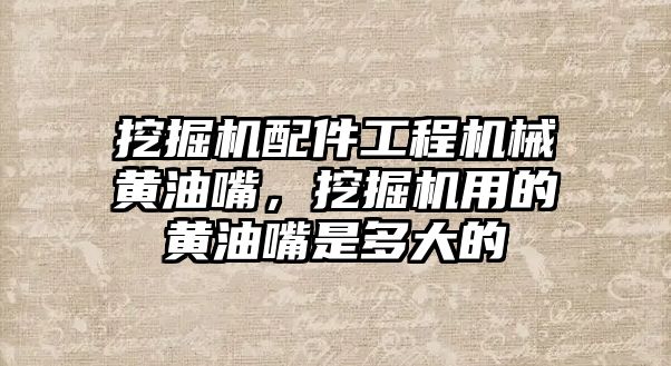 挖掘機配件工程機械黃油嘴，挖掘機用的黃油嘴是多大的