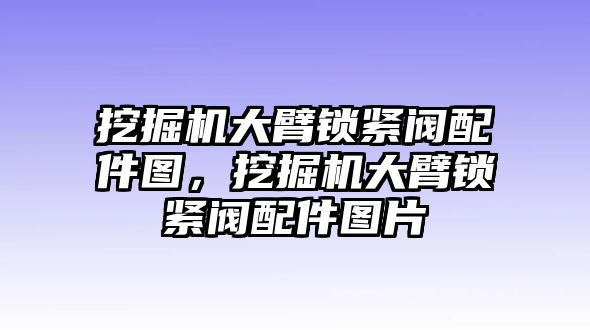 挖掘機大臂鎖緊閥配件圖，挖掘機大臂鎖緊閥配件圖片