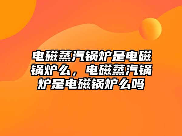 電磁蒸汽鍋爐是電磁鍋爐么，電磁蒸汽鍋爐是電磁鍋爐么嗎