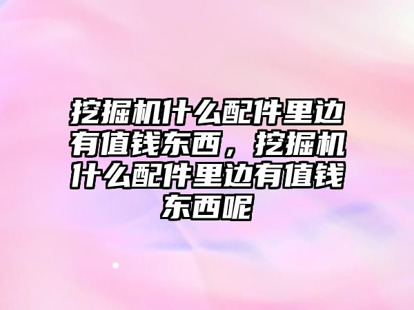 挖掘機什么配件里邊有值錢東西，挖掘機什么配件里邊有值錢東西呢