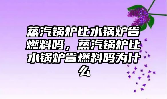 蒸汽鍋爐比水鍋爐省燃料嗎，蒸汽鍋爐比水鍋爐省燃料嗎為什么