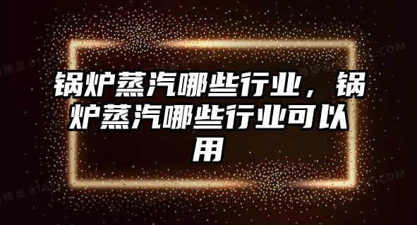 鍋爐蒸汽哪些行業(yè)，鍋爐蒸汽哪些行業(yè)可以用