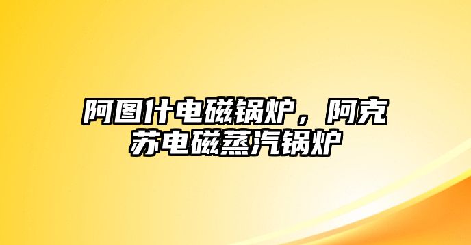 阿圖什電磁鍋爐，阿克蘇電磁蒸汽鍋爐