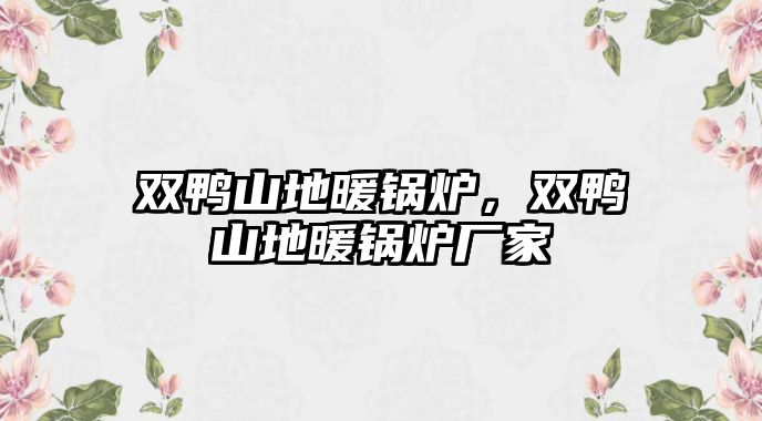 雙鴨山地暖鍋爐，雙鴨山地暖鍋爐廠家