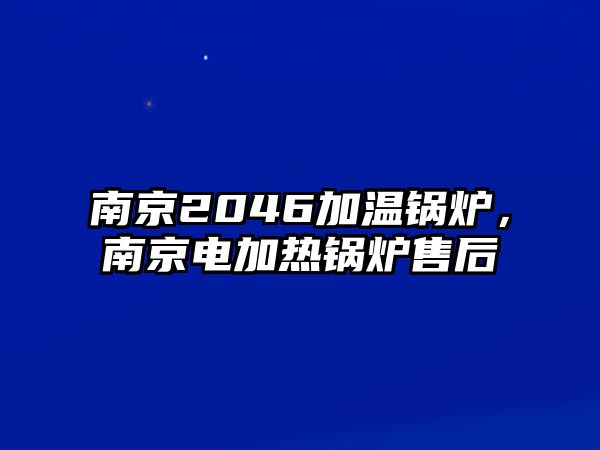 南京2046加溫鍋爐，南京電加熱鍋爐售后