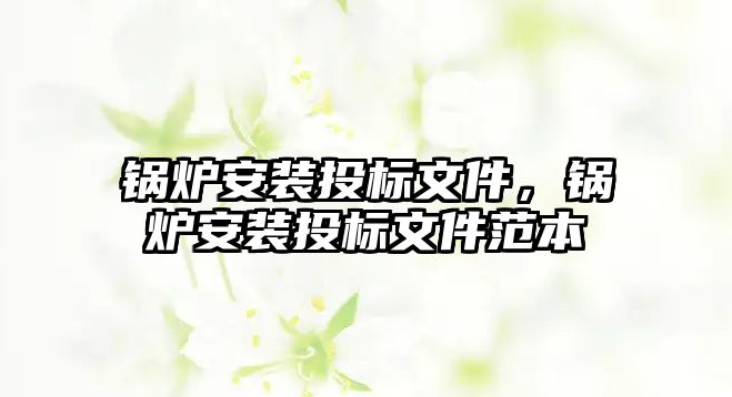 鍋爐安裝投標(biāo)文件，鍋爐安裝投標(biāo)文件范本