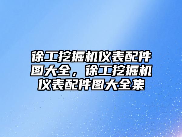 徐工挖掘機儀表配件圖大全，徐工挖掘機儀表配件圖大全集