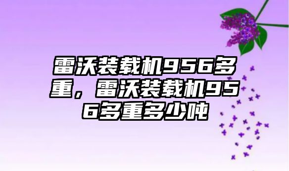 雷沃裝載機(jī)956多重，雷沃裝載機(jī)956多重多少噸