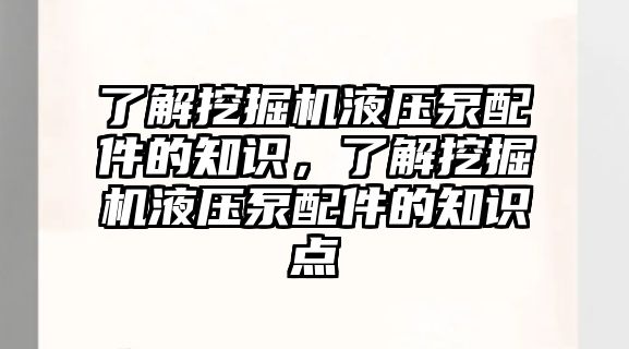 了解挖掘機液壓泵配件的知識，了解挖掘機液壓泵配件的知識點