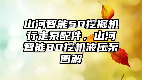 山河智能50挖掘機行走泵配件，山河智能80挖機液壓泵圖解