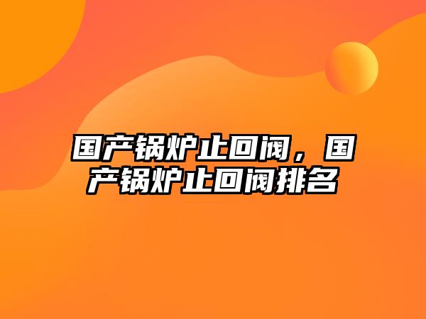 國產(chǎn)鍋爐止回閥，國產(chǎn)鍋爐止回閥排名