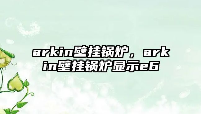 arkin壁掛鍋爐，arkin壁掛鍋爐顯示e6