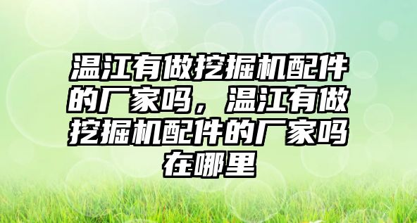 溫江有做挖掘機(jī)配件的廠家嗎，溫江有做挖掘機(jī)配件的廠家嗎在哪里