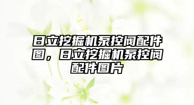 日立挖掘機泵控閥配件圖，日立挖掘機泵控閥配件圖片