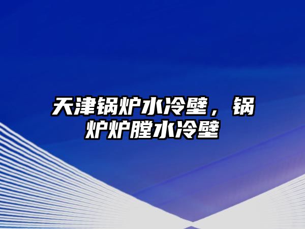 天津鍋爐水冷壁，鍋爐爐膛水冷壁