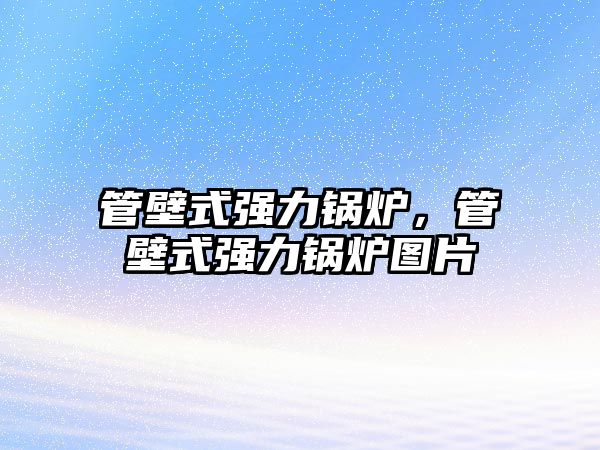 管壁式強(qiáng)力鍋爐，管壁式強(qiáng)力鍋爐圖片