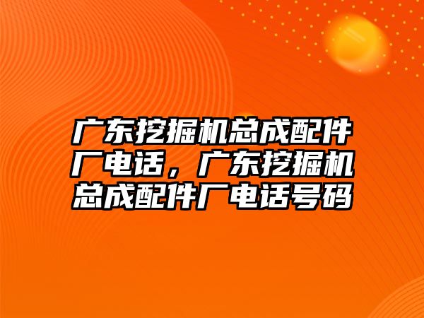 廣東挖掘機(jī)總成配件廠電話，廣東挖掘機(jī)總成配件廠電話號碼