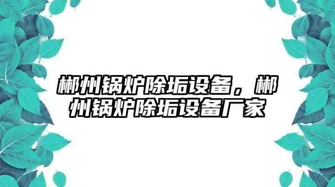 郴州鍋爐除垢設(shè)備，郴州鍋爐除垢設(shè)備廠家