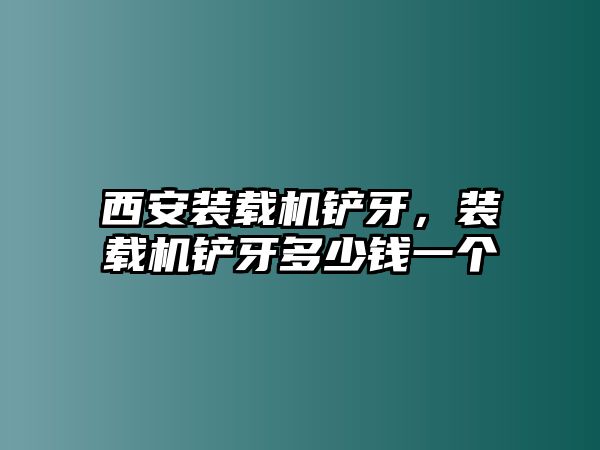 西安裝載機(jī)鏟牙，裝載機(jī)鏟牙多少錢一個(gè)