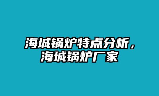 海城鍋爐特點分析，海城鍋爐廠家