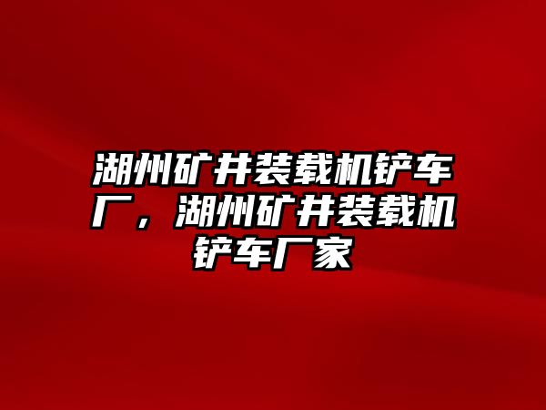 湖州礦井裝載機(jī)鏟車廠，湖州礦井裝載機(jī)鏟車廠家