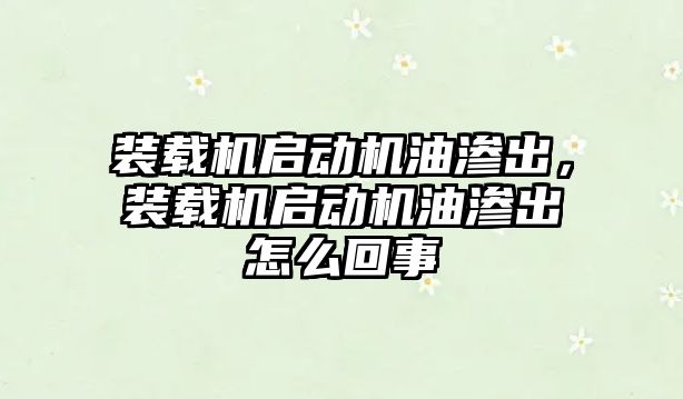 裝載機啟動機油滲出，裝載機啟動機油滲出怎么回事