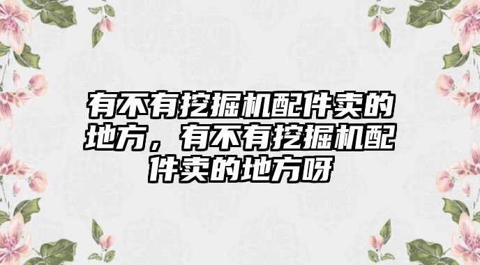 有不有挖掘機(jī)配件賣(mài)的地方，有不有挖掘機(jī)配件賣(mài)的地方呀