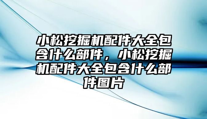 小松挖掘機配件大全包含什么部件，小松挖掘機配件大全包含什么部件圖片