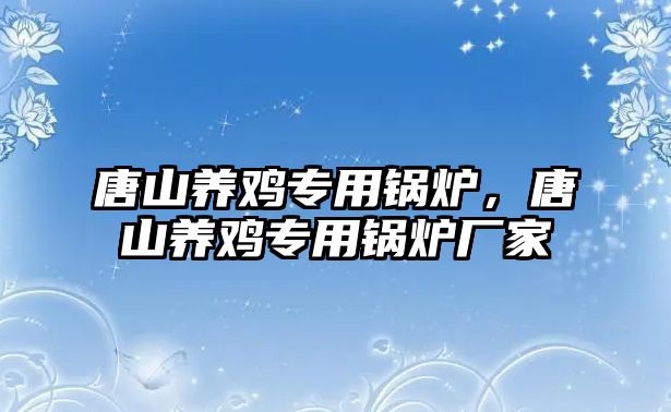 唐山養(yǎng)雞專用鍋爐，唐山養(yǎng)雞專用鍋爐廠家