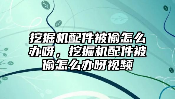 挖掘機(jī)配件被偷怎么辦呀，挖掘機(jī)配件被偷怎么辦呀視頻