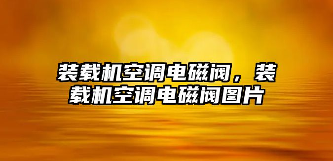 裝載機空調電磁閥，裝載機空調電磁閥圖片