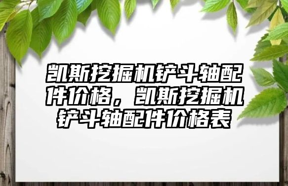 凱斯挖掘機(jī)鏟斗軸配件價(jià)格，凱斯挖掘機(jī)鏟斗軸配件價(jià)格表