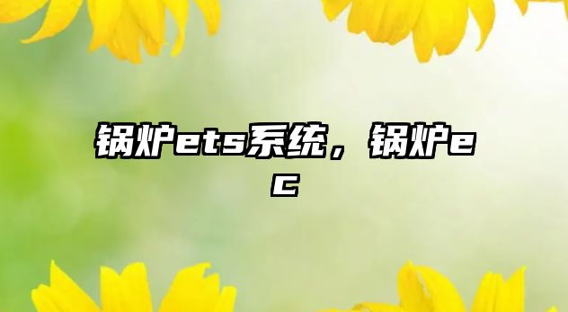 鍋爐ets系統(tǒng)，鍋爐ec