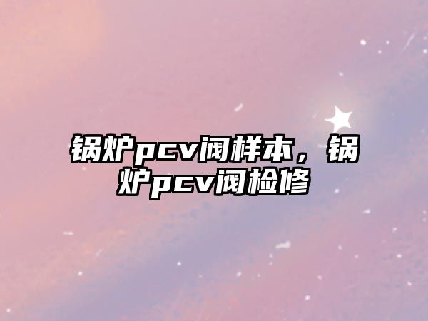 鍋爐pcv閥樣本，鍋爐pcv閥檢修