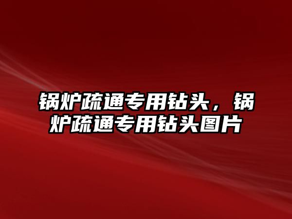 鍋爐疏通專用鉆頭，鍋爐疏通專用鉆頭圖片