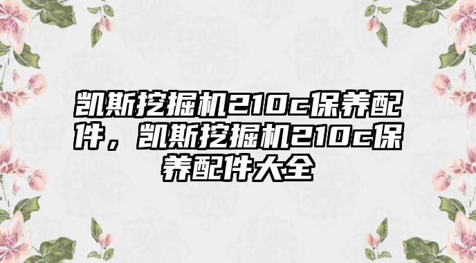 凱斯挖掘機(jī)210c保養(yǎng)配件，凱斯挖掘機(jī)210c保養(yǎng)配件大全