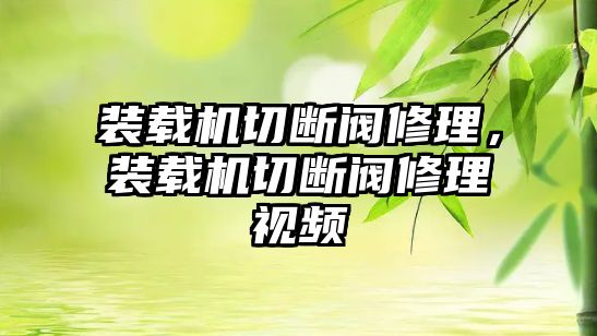 裝載機(jī)切斷閥修理，裝載機(jī)切斷閥修理視頻