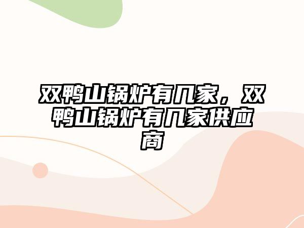 雙鴨山鍋爐有幾家，雙鴨山鍋爐有幾家供應(yīng)商