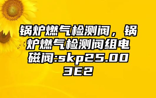 鍋爐燃?xì)鈾z測閥，鍋爐燃?xì)鈾z測閥組電磁閥:skp25.003E2