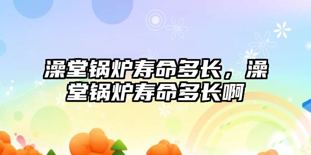 澡堂鍋爐壽命多長，澡堂鍋爐壽命多長啊