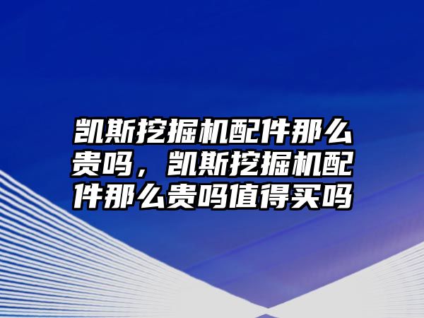 凱斯挖掘機(jī)配件那么貴嗎，凱斯挖掘機(jī)配件那么貴嗎值得買嗎