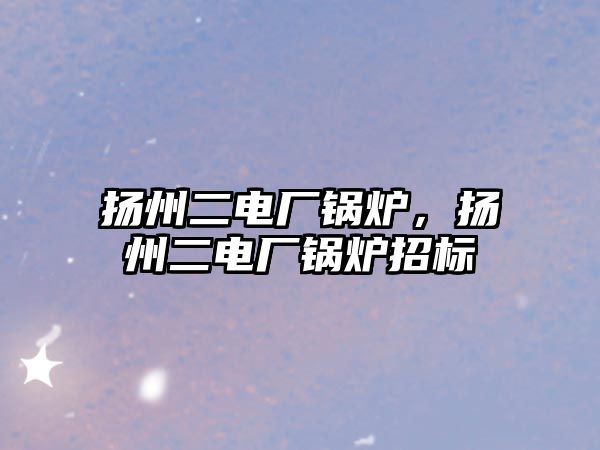 揚州二電廠鍋爐，揚州二電廠鍋爐招標