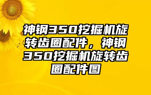 神鋼350挖掘機(jī)旋轉(zhuǎn)齒圈配件，神鋼350挖掘機(jī)旋轉(zhuǎn)齒圈配件圖