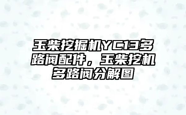 玉柴挖掘機YC13多路閥配件，玉柴挖機多路閥分解圖