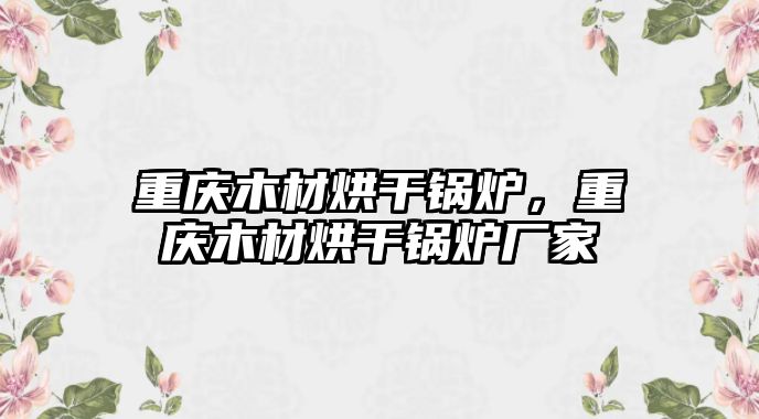 重慶木材烘干鍋爐，重慶木材烘干鍋爐廠家