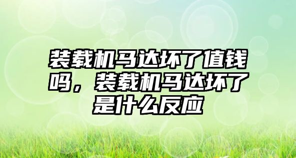 裝載機(jī)馬達(dá)壞了值錢嗎，裝載機(jī)馬達(dá)壞了是什么反應(yīng)