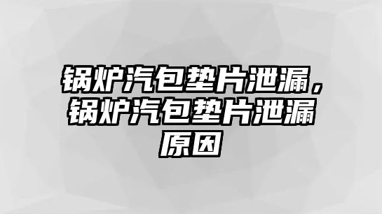 鍋爐汽包墊片泄漏，鍋爐汽包墊片泄漏原因