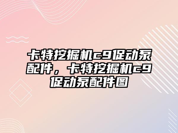 卡特挖掘機c9促動泵配件，卡特挖掘機c9促動泵配件圖